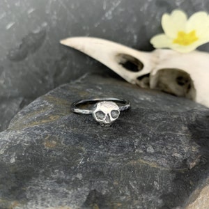 May include: A silver skull ring with a textured finish. The ring is on a dark gray rock.