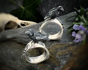 May include: Two silver rings with black crow sculptures on top. The rings are on a dark gray background.