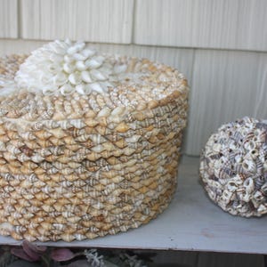May include: A round, lidded box and a sphere, both adorned with seashells. The box is beige and tan, with a white seashell flower on top. The sphere is covered in various small shells, creating a textured, coastal aesthetic.