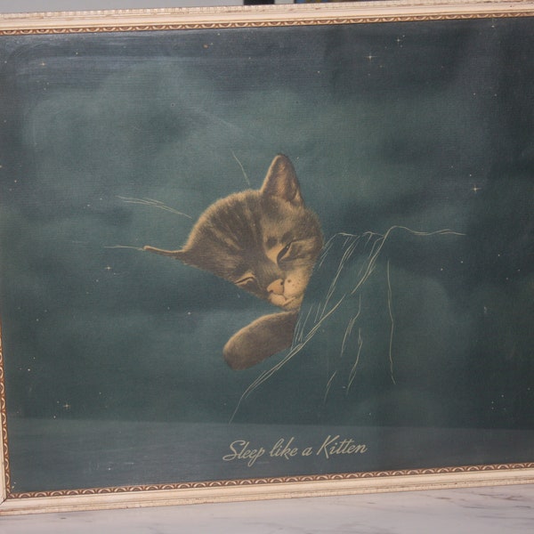 Vintage C&O Chesapeake and Ohio Railroad Advertising Icon Sleep Like A Kitten Framed Picture Chessie