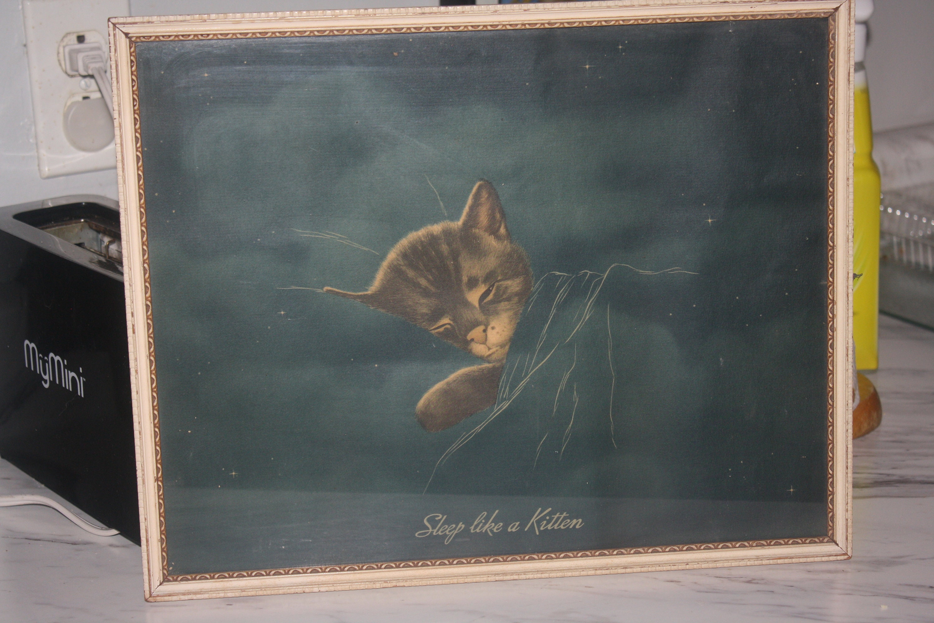 Vintage C&O Chesapeake and Ohio Railroad Advertising Icon Sleep Like A