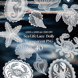 May include: A collection of white lace doilies featuring sea life designs, including a seahorse, starfish, crab, and lobster. The image includes the text "Sea Life Lace Doily Transparent PNG 40".
