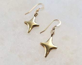 Gezwollen Sparkle ster oorbellen