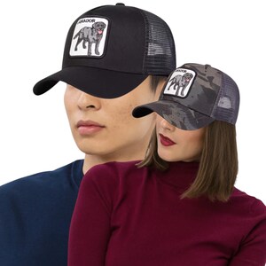 May include: Two baseball caps with a Labrador dog patch. One cap is black with a black mesh back, the other is camouflage with a dark gray mesh back. The patch features a gray Labrador illustration with the word "LABRADOR".