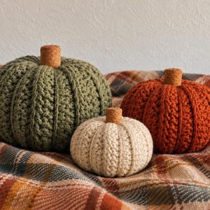 Può includere: Tre zucche all'uncinetto in verde oliva, crema e arancione bruciato. Ogni zucca presenta una consistenza a coste e un piccolo stelo cilindrico in sughero fissato al centro superiore. Le zucche sono disposte in un gruppo e variano nelle dimensioni.