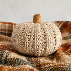 May include: A round, cream-colored crocheted pumpkin with a textured, ribbed surface and a natural brown cork stem. The pumpkin features a dense, hand-stitched yarn construction with vertical ridges that mimic the appearance of a real gourd.