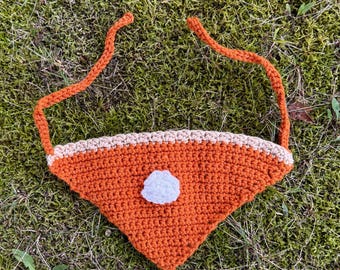 Haakpatroon Pumpkin Pie Hondenbandana | Huisdieraccessoire herfst en Thanksgiving | Digitale download voor beginners
