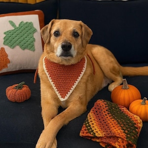 May include: A golden-brown dog wearing a triangular, rust-orange crochet bandana with a cream-colored border. The bandana features simple stitch patterns and ties at the neck, resting against the dog's chest while it sits on a dark surface.