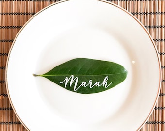 Bunch of 25 Fresh Magnolia Leaves to be used as Place Cards / Escort Cards / Real Leaf Wreath / Garland / Floral arrangements and bouquets