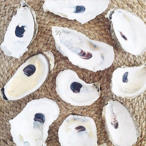Oyster Shells for Wedding Place Cards Set of 25 cleaned and sanitized 2-3 inch natural shells Escort Card Reception Favor Coastal Beach