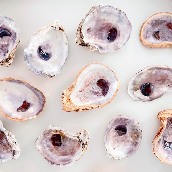 Oyster Shell Place Cards DIY - at home with Ashley