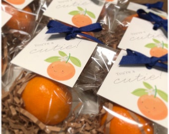 You're a Cutie Valentine Gift Tags, Clementine Orange Fruit Valentine Snack Classroom School Teacher Staff Printable DIY Template Craft
