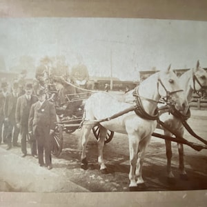 Sepia photo, men in bowler hats, horse drawn carriage, 1800s, mounted sepia photo, pair white horses, sepia photograph, antique photo