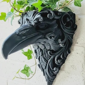 Macetero de pared grande y elegante con forma de cuervo gótico.