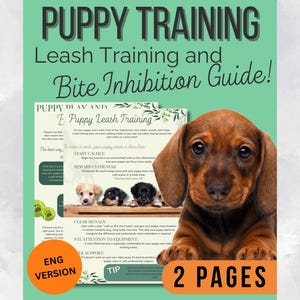 Könnte beinhalten: Ein Welpentrainingsleitfaden mit dem Text "PUPPY TRAINING Leash Training and Bite Inhibition Guide!". Auf der rechten Seite ist ein brauner Dackelwelpe abgebildet. Der Leitfaden enthält Tipps zum Leinentraining und zur Beißhemmung.