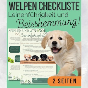 Könnte beinhalten: Ein Poster mit dem deutschen Text "WELPEN CHECKLISTE" und "Leinenführigkeit und Beisshemmung!" zeigt einen lächelnden Golden Retriever Welpen. Das Poster enthält Text und Bilder zum Welpentraining, mit den Worten "2 SEITEN" unten.
