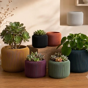 Peut inclure: Une collection de pots de fleurs ronds et nervurés dans diverses couleurs, notamment jaune moutarde, noir, terre cuite, violet, vert sauge et bleu foncé. Plusieurs pots contiennent des plantes succulentes et une plante verte sur une surface en bois.