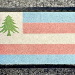 Puede incluir: Un parche rectangular bordado que presenta un patrón de rayas horizontales en azul claro, rosa y blanco. En el lado izquierdo, un icono de pino verde está centrado sobre un fondo blanco. El parche tiene un borde grueso cosido en color negro.