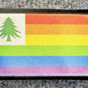 Puede incluir: Un parche rectangular bordado que presenta un cantón blanco con un símbolo de pino verde. El resto del parche muestra franjas horizontales en rojo, naranja, amarillo, verde, azul y violeta, todo ello rodeado por un borde negro grueso.