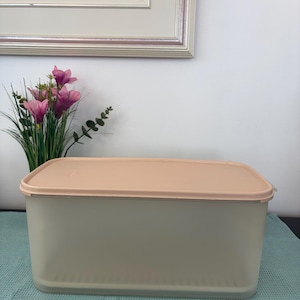 Puede incluir: Un recipiente rectangular translúcido con tapa color melocotón. El recipiente está sobre una superficie texturizada azul claro. Un jarrón con flores rosas está a la izquierda y una pintura enmarcada en el fondo.