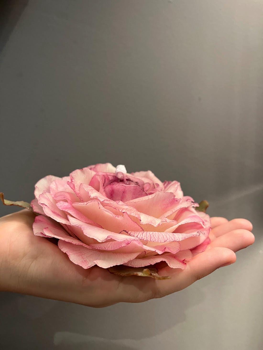 Soja-Teelichter Rosenblüten Duft – 50 Stück, Je 5h Brenndauer, Handgefertigt In USA, Umweltfreundlich