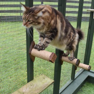May include: A brown and tan tabby cat on a wooden cat climbing frame. The cat is on a rope-wrapped perch, with a wooden shelf below. The structure is in a fenced outdoor enclosure with green grass.