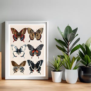 May include: A framed print featuring six detailed butterfly illustrations in various colors, including brown, red, black, and white. The artwork is displayed on a wooden surface, with potted plants in the background.