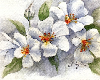 Original Miniature Painting in Watercolor - White Dogwood