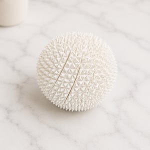 Transforming Spiky Ball Fidget