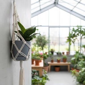 Könnte beinhalten: Ein grauer Keramik-Pflanztopf mit einer grünen Pflanze, aufgehängt in einem weißen Makramee-Pflanzenhalter. Der Pflanzenhalter ist an einer grauen Wand befestigt. Der Hintergrund zeigt ein Gewächshaus mit vielen Pflanzen.