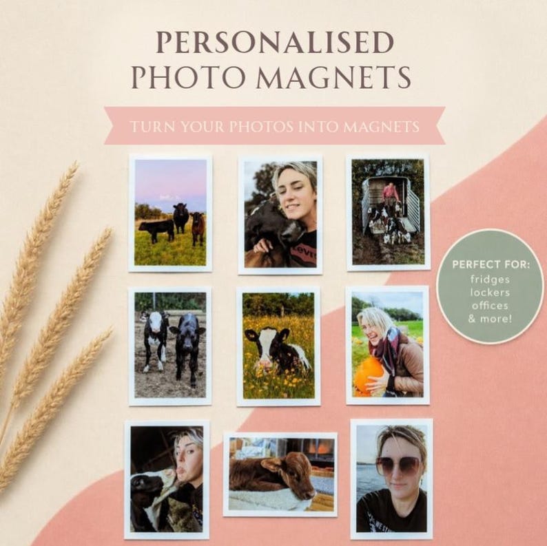 May include: A collection of personalized photo magnets. The magnets feature various photos of cows and people. Text on the image reads "PERSONALISED PHOTO MAGNETS" and "TURN YOUR PHOTOS INTO MAGNETS."