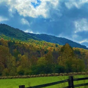 以下が含まれることがあります： 秋の紅葉が美しい木々に覆われた山々の風景。手前には緑の草原、木製の柵、干し草の束があります。空は青と白の雲で満たされています。