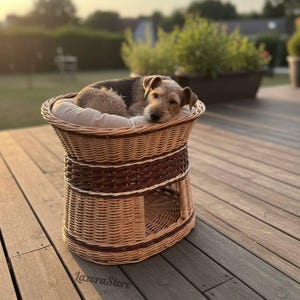 May include: A woven wicker dog bed with a brown and white trim. A small dog is curled up inside on a cream-colored cushion. The bed is on a wooden deck, with a blurred background of greenery.