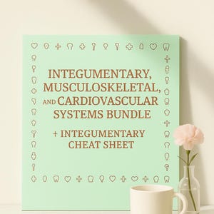 May include: A mint green book cover with the text "INTEGUMENTARY, MUSCULOSKELETAL, AND CARDIOVASCULAR SYSTEMS BUNDLE + INTEGUMENTARY CHEAT SHEET" in brown. A white mug and a small vase with a pink flower are in front of the book.