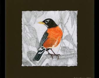 Thrush, American Robin Giclée Print, Framed