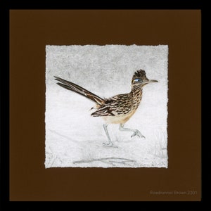 Greater Roadrunner, Framed