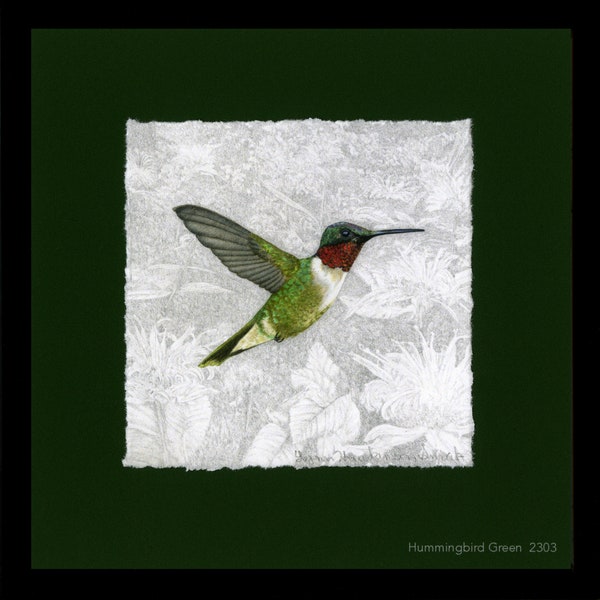 Hummingbird, Ruby-throated Hummingbird, Framed