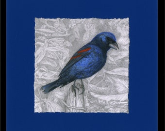 Grosbeak, Blue Grosbeak Giclée Print, Framed