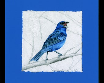 Buntings, Indigo Bunting, Framed