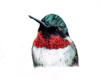 Hummingbirds, Ruby-throated Hummingbird