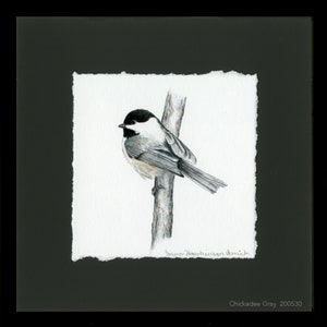 Chickadees, Black-capped Chickadee, Framed