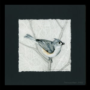 Titmice, Tufted Titmouse, Framed