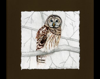 Owls, Barred Owl Framed