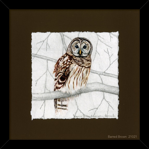 Owls, Barred Owl Giclée Print, Framed