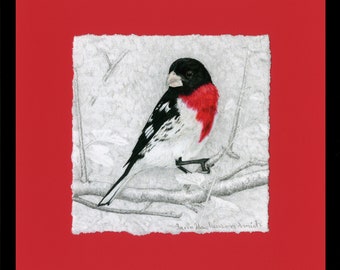 Grosbeak, Rose-breasted Grosbeak Giclée Print, Framed