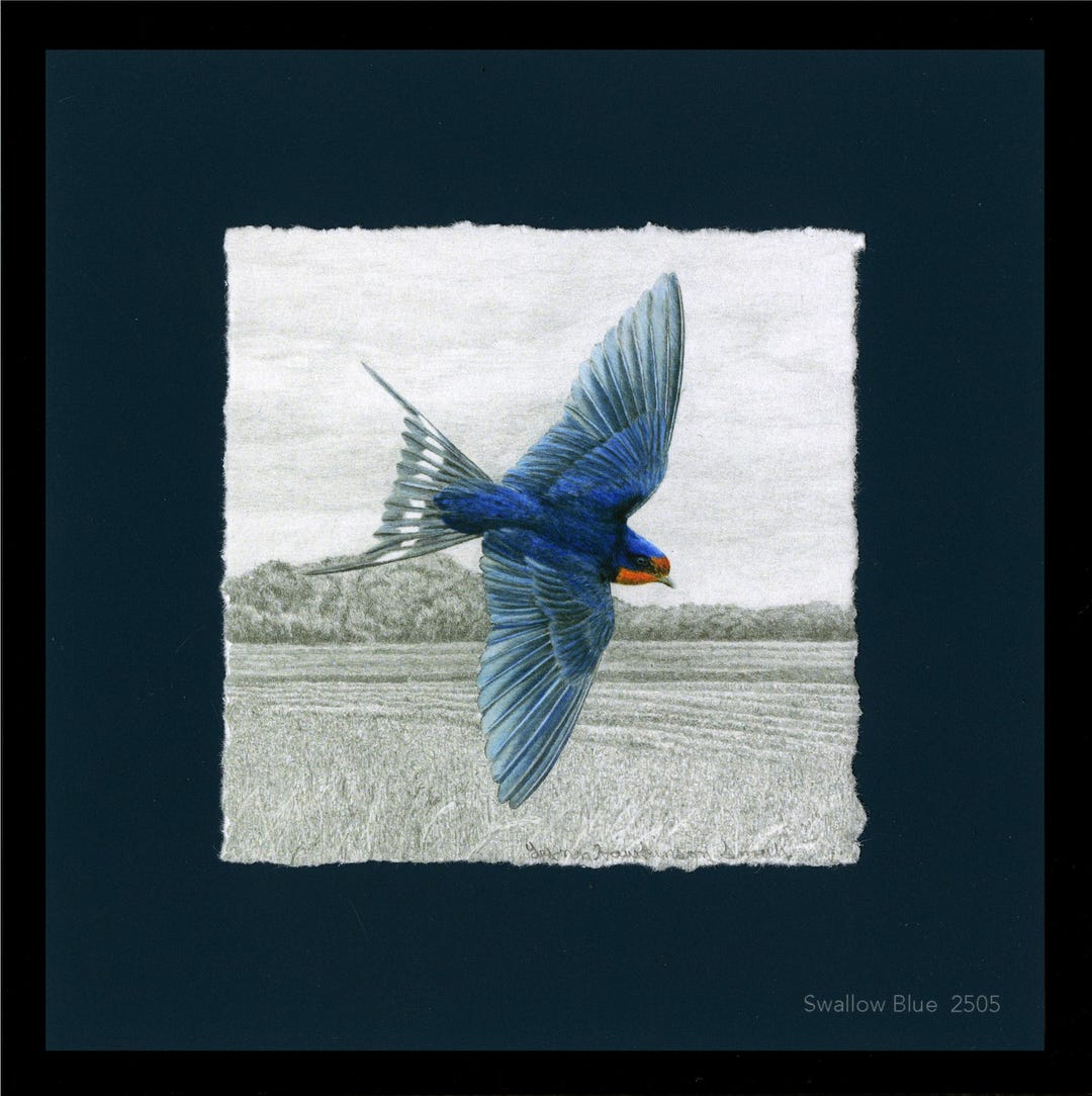 ツバメ、ツバメのジクレー版画、額入り - Etsy 日本