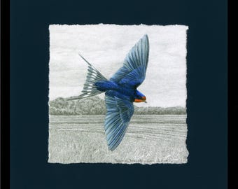 Swallows, Barn Swallow Giclée Print, Framed