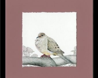 Doves, Mourning Dove, Framed