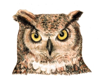 Owls, Great Horned Owl