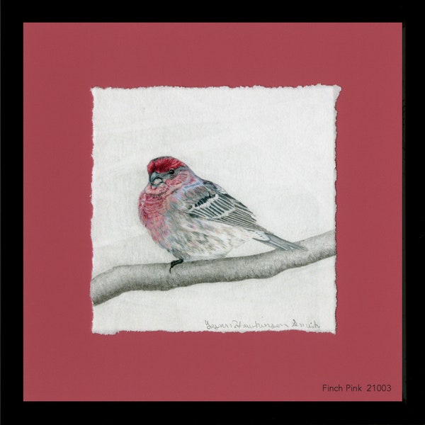 Finches, House Finch, Framed